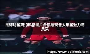 切片新手